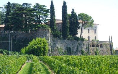 IN FRANCIACORTA, VIGNETI CHE NASCONO DA UNA STORIA D’AMORE