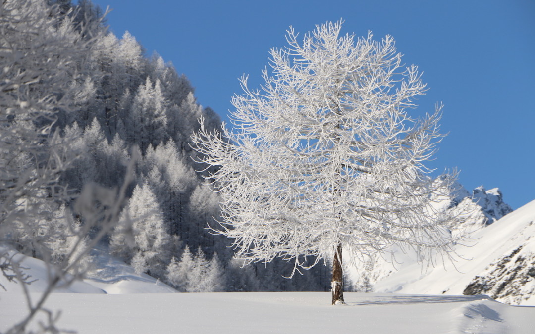 FANTASIA D’INVERNO: PAESAGGI E FIGURE INVERNALI IMMORTALATI DALL’ARTISTA VALDOSTANA