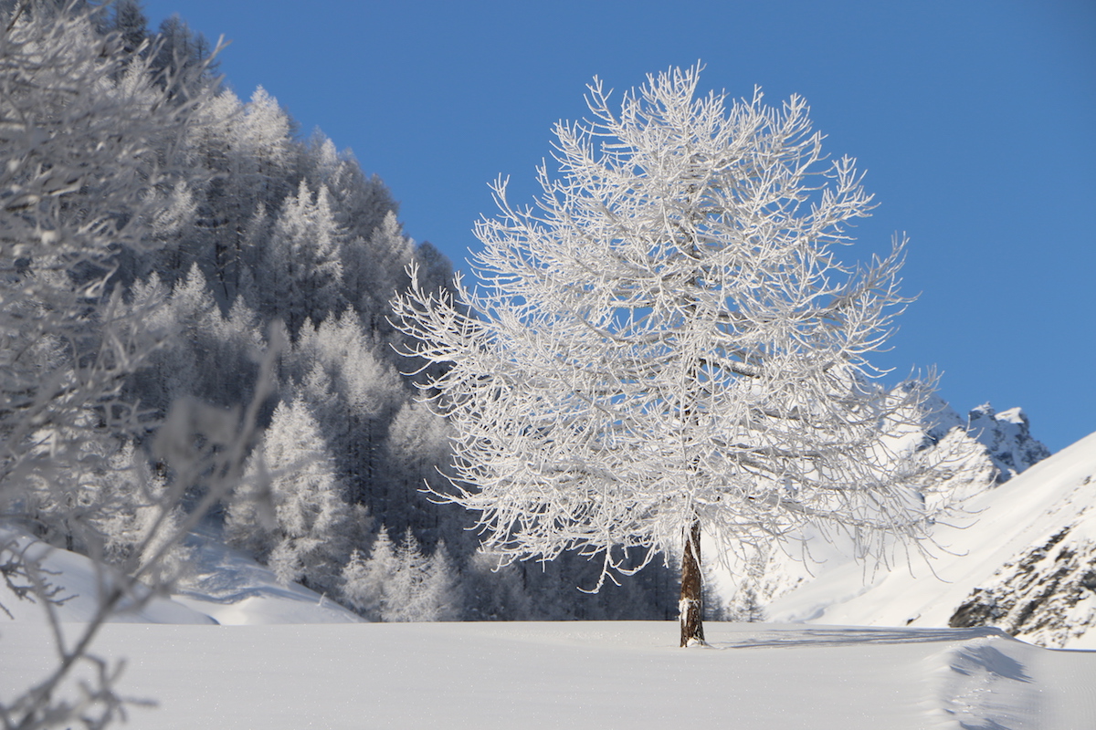 Fantasia D Inverno Paesaggi E Figure Invernali Immortalati Dall Artista Valdostana Ilpuntosalute