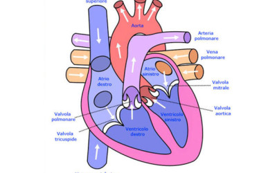 LO SCOMPENSO CARDIACO