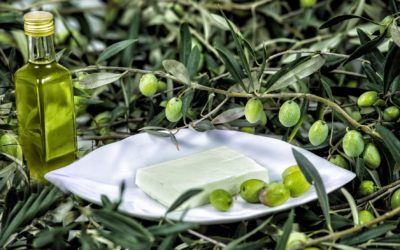 CUCINA SANA ED EQUILIBRATA CON L’OLIO EXTRA VERGINE SPALMABILE