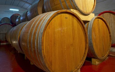 ANTICHE TRADIZIONI E VINI DIVINI