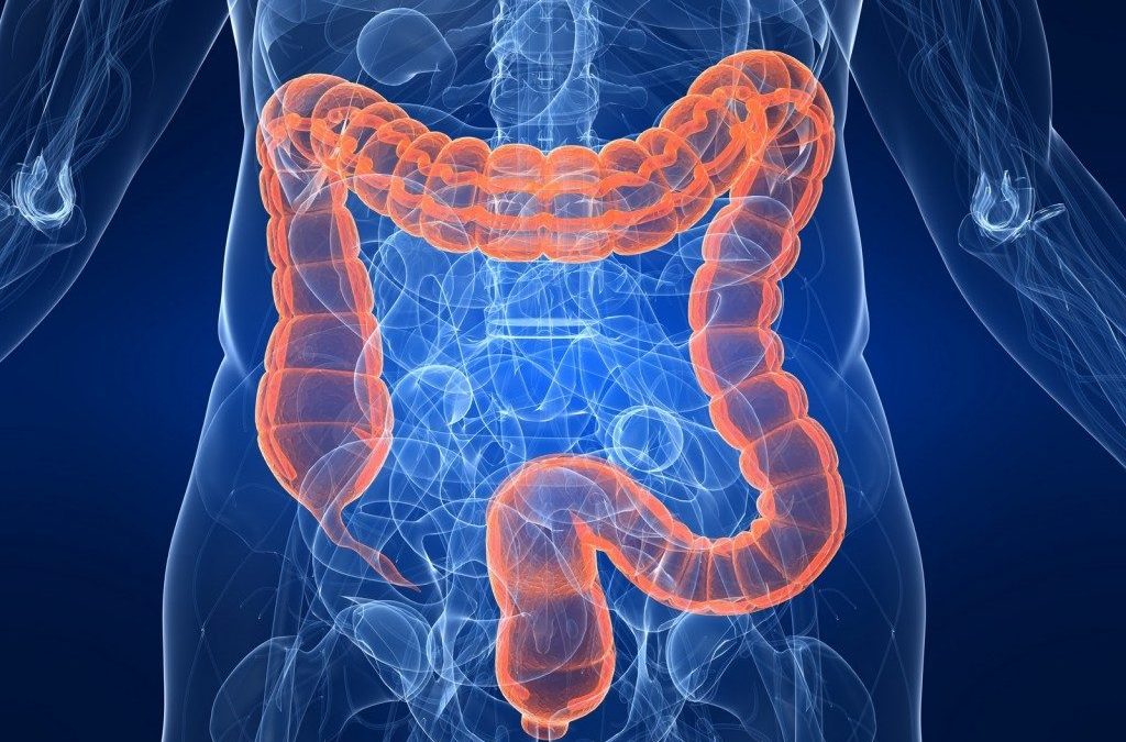 LA SINDROME DEL COLON IRRITABILE (IBS) E (IBS-C): LE TERAPIE CI SONO, MA SONO A CARICO DEL PAZIENTE