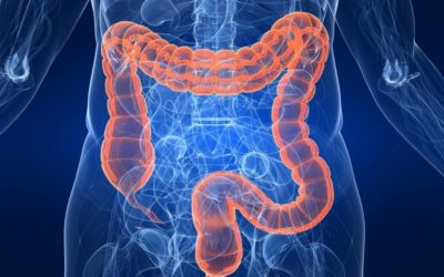 LA SINDROME DEL COLON IRRITABILE (IBS) E (IBS-C): LE TERAPIE CI SONO, MA SONO A CARICO DEL PAZIENTE