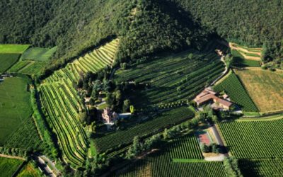 VITICOLTURA RAGIONATA E BIOLOGICA IN FRANCIACORTA