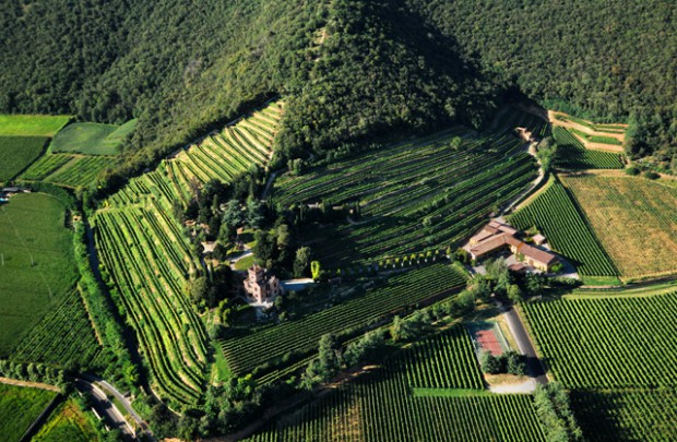 VITICOLTURA RAGIONATA E BIOLOGICA IN FRANCIACORTA