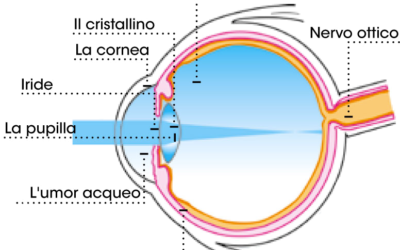 UN COLLIRIO PER PROTEGGERE GLI OCCHI DAL SOLE E DA DANNOSE FONTI LUMINOSE