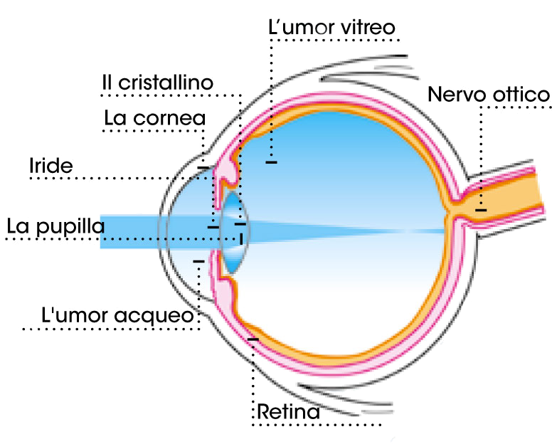 UN COLLIRIO PER PROTEGGERE GLI OCCHI DAL SOLE E DA DANNOSE FONTI LUMINOSE