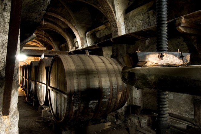 IL VINO NATURALE? PASSIONE E RISPETTO PER LA TERRA